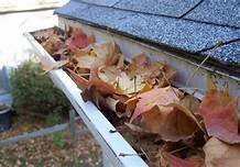 leaves and pine straw found in the gutter